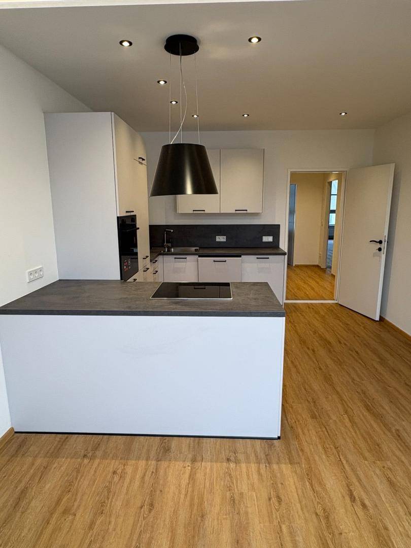Moderne Einbauküche mit Kochinsel, integriertem Backofen und Zugang zu einem weiteren Raum.
