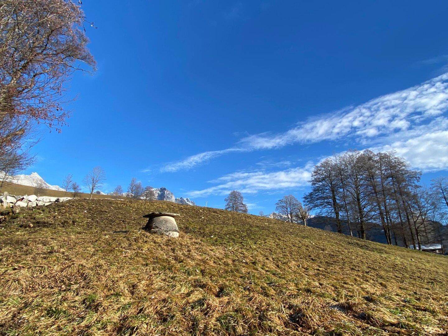 Weitläufige grüne Hügellandschaft mit kahlen Bäumen und schneebedeckten Berggipfeln im Hintergrund.