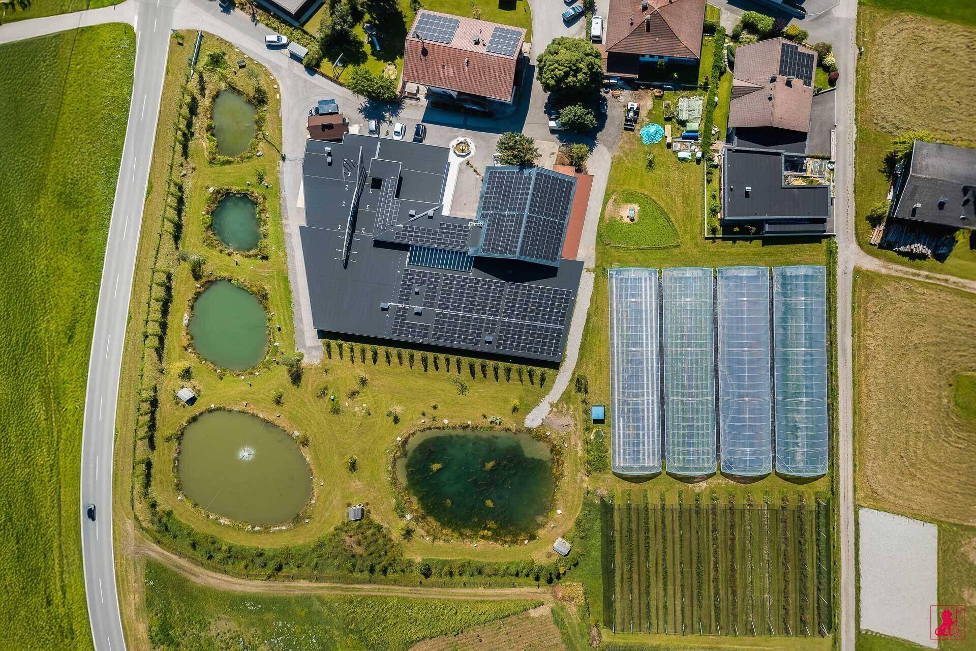 Vogelperspektive der Anlage mit mehreren Teichen, Gewächshäusern und Photovoltaikmodulen auf den Dächern.