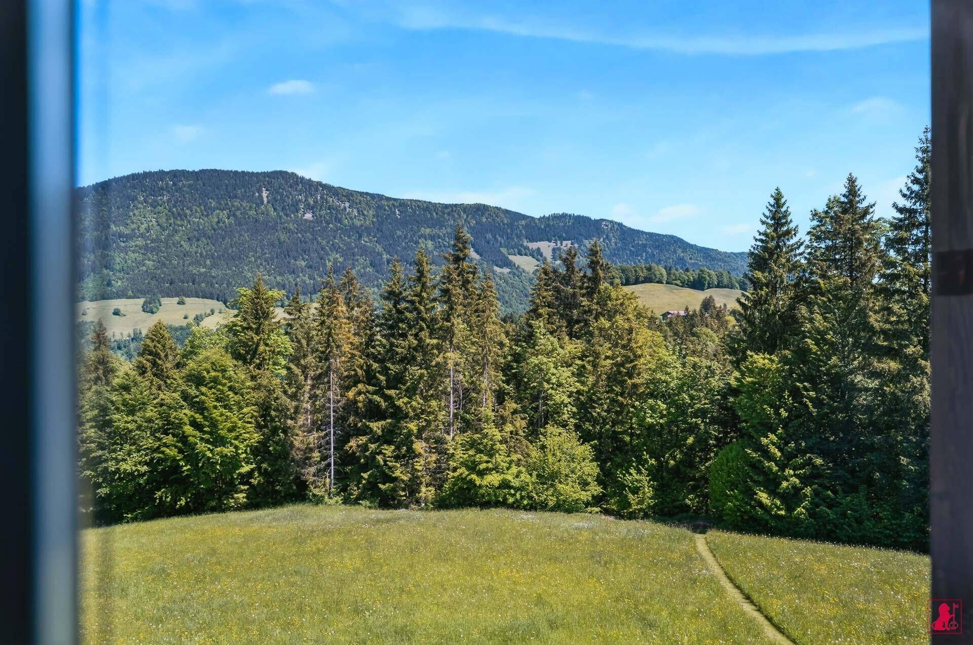 Malerischer Ausblick auf grüne Wiesen und bewaldete Berge durch ein Fenster.