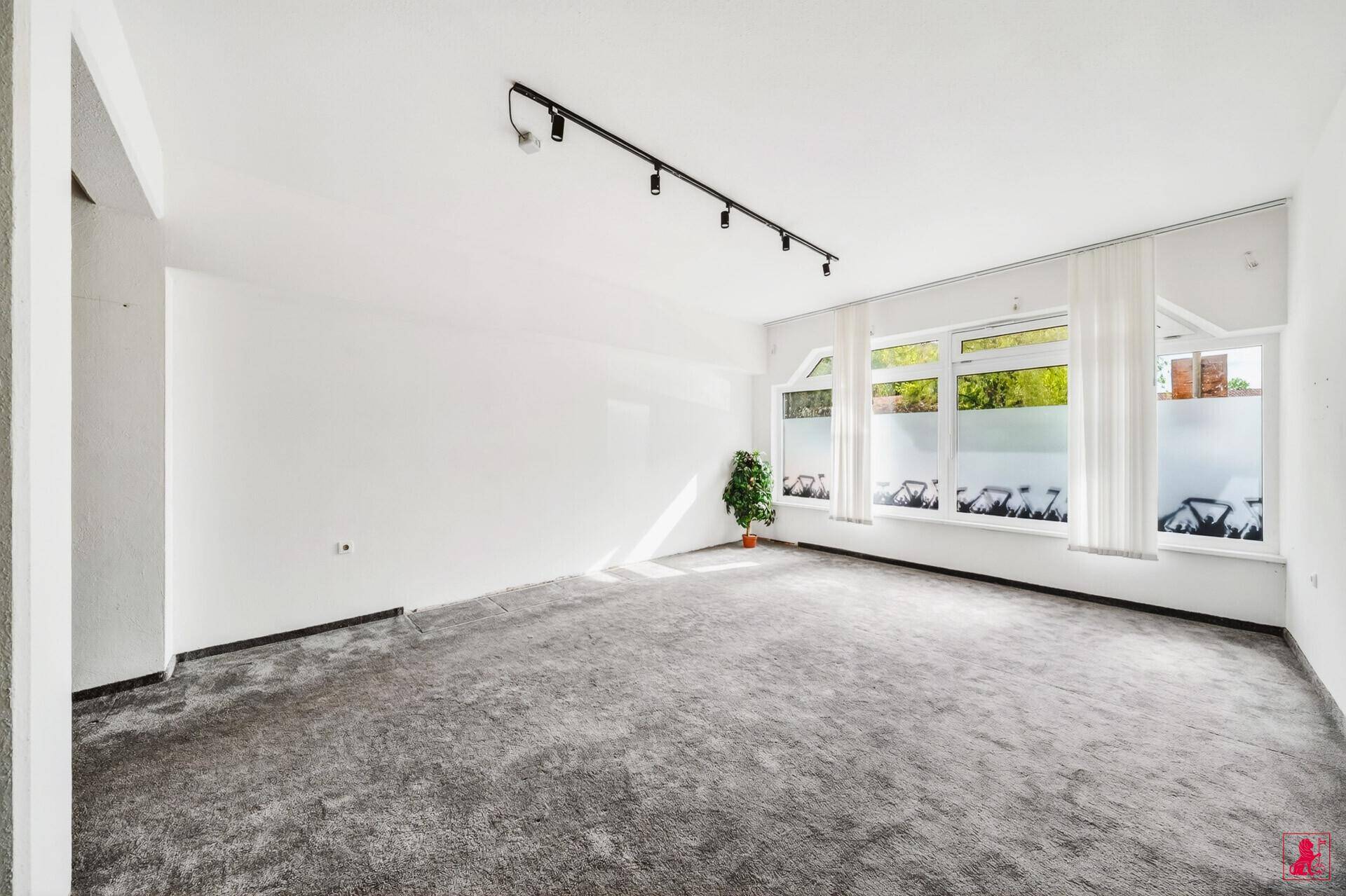 Geräumiger, heller Innenraum mit grauem Teppichboden und modernen Schienenstrahlern an der Decke.