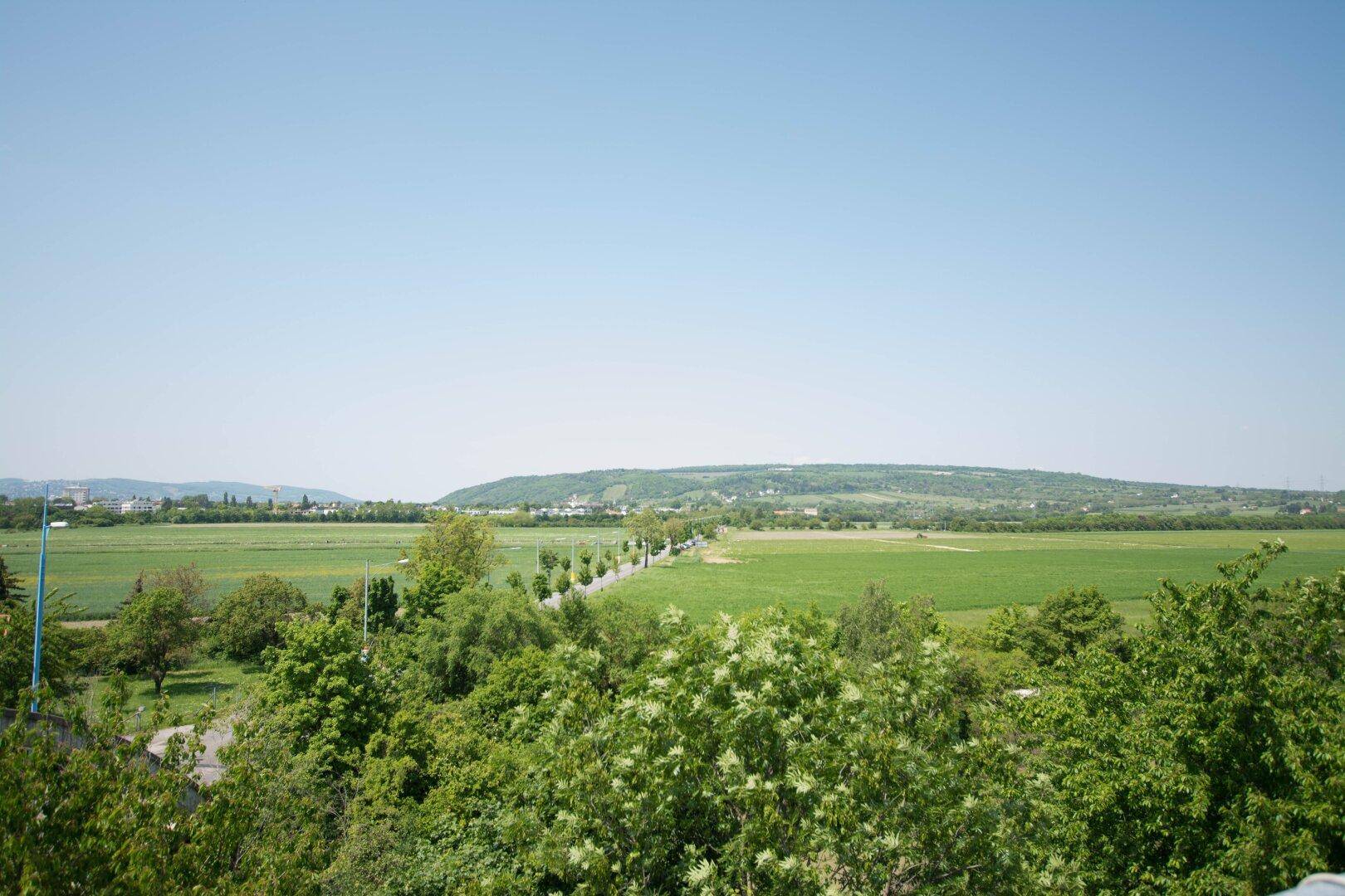 Weitläufiger Panoramablick über grüne Felder, Bäume und sanfte Hügel unter blauem Himmel.