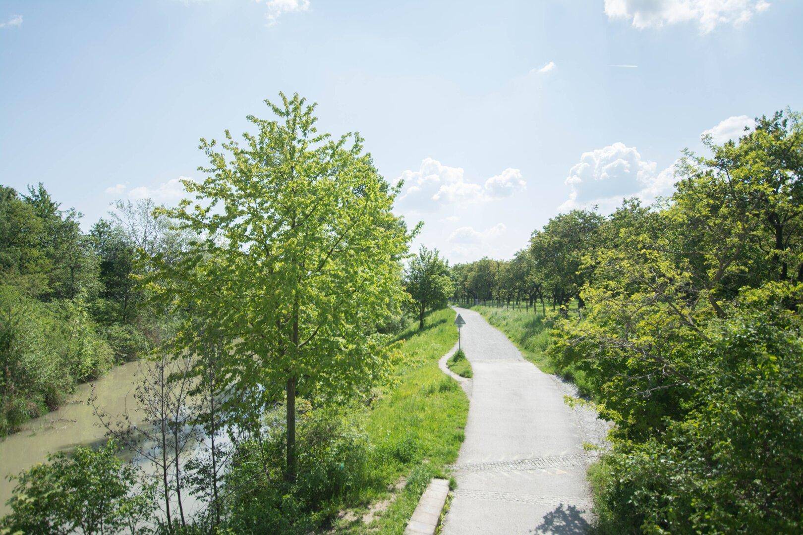 Idyllischer Weg entlang eines Flusses, umgeben von üppigem Grün und Bäumen.