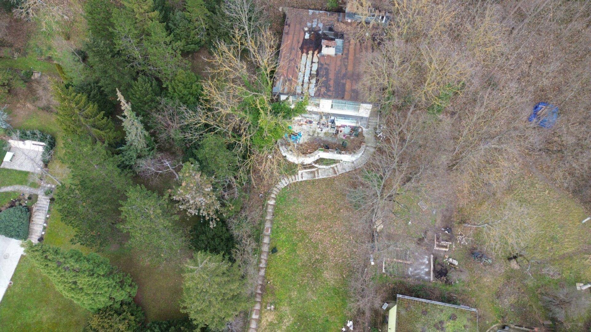 Luftaufnahme eines Anwesens mit Haus, Garten, Wegen und dichtem Baumbestand.