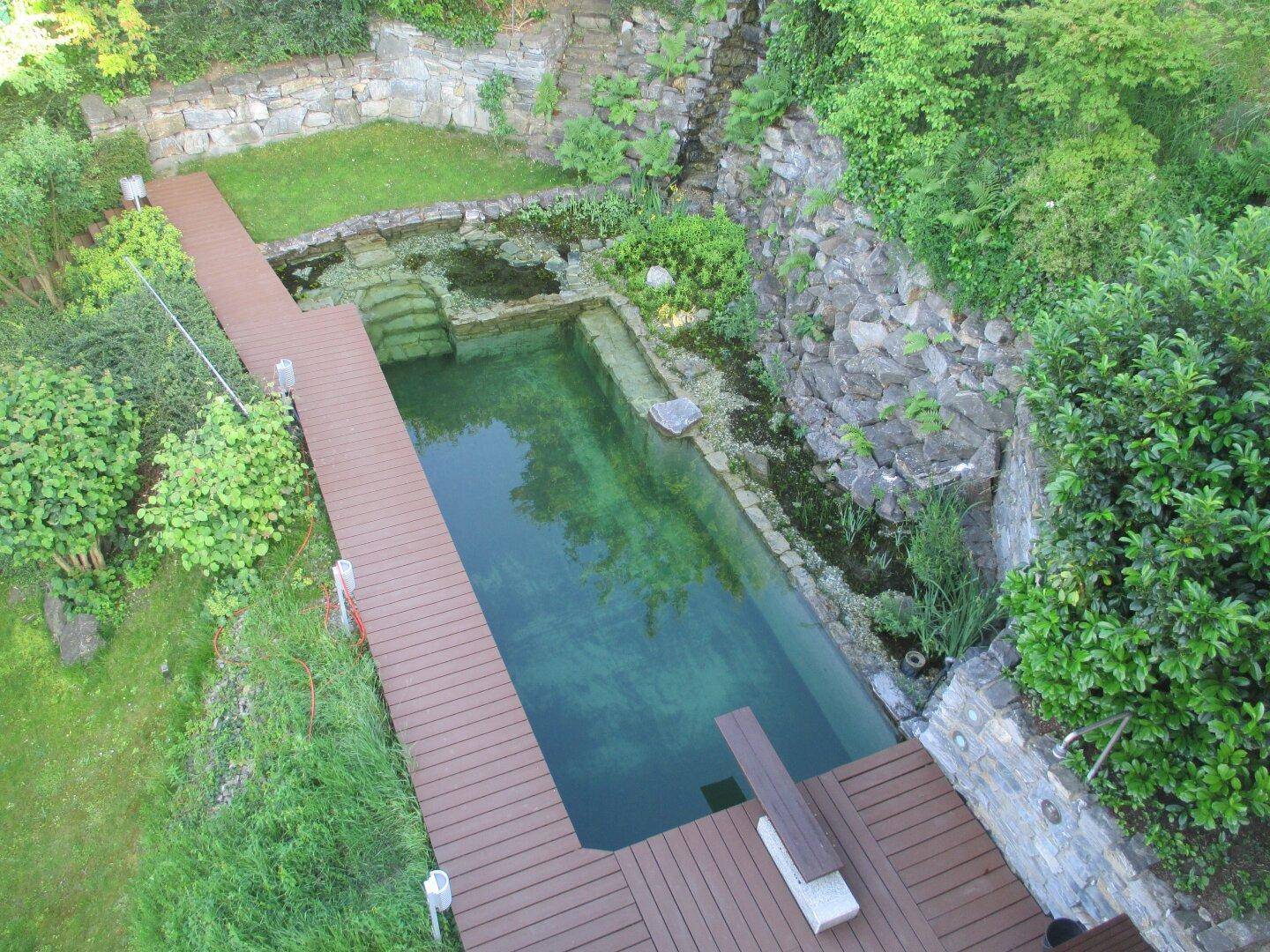 Natürlicher Schwimmteich mit Holzstegen und üppiger Bepflanzung in einer terrassierten Gartenanlage.