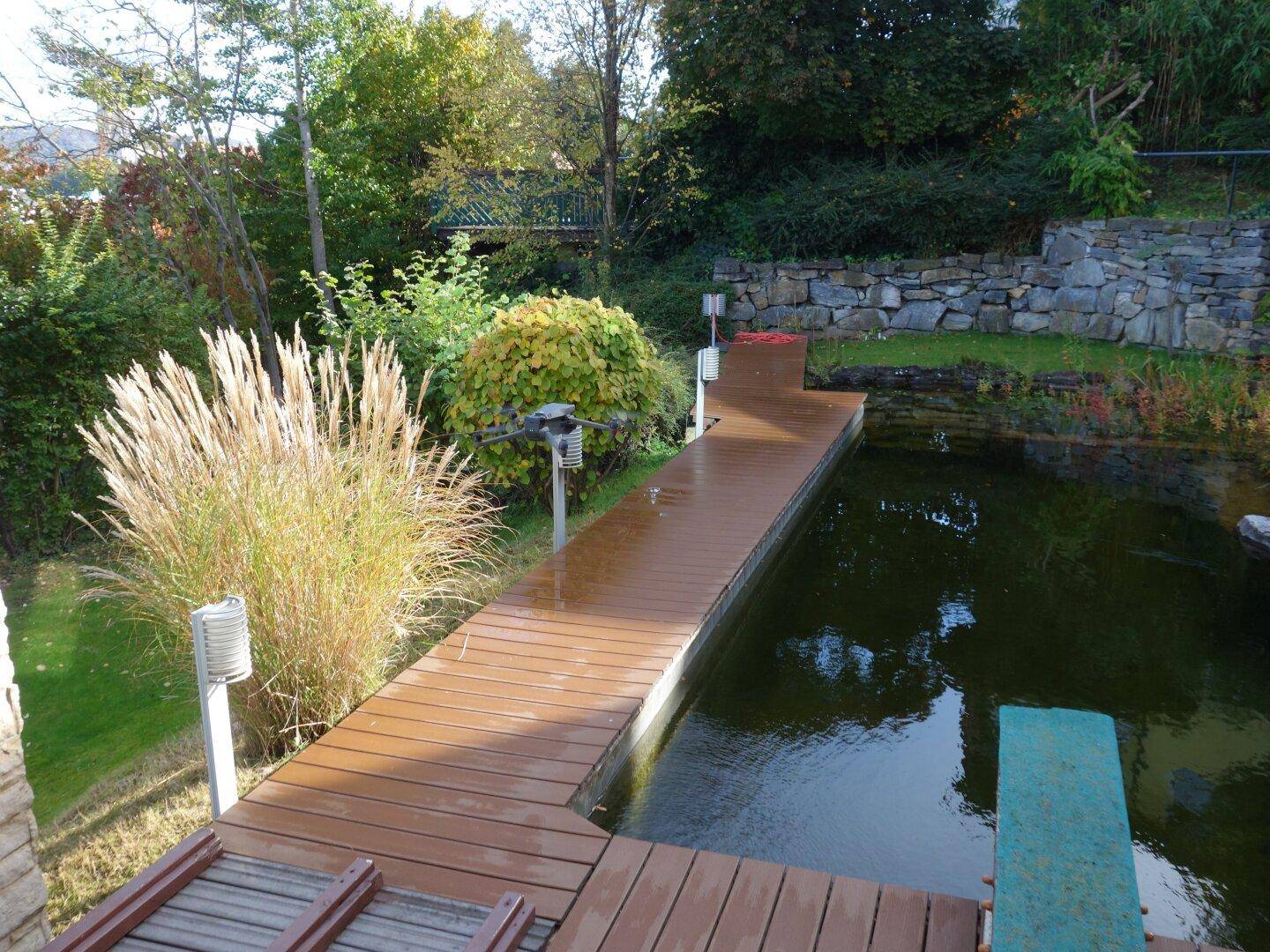 Holzdeck am natürlichen Schwimmteich, umgeben von Gräsern und einer Steinmauer.
