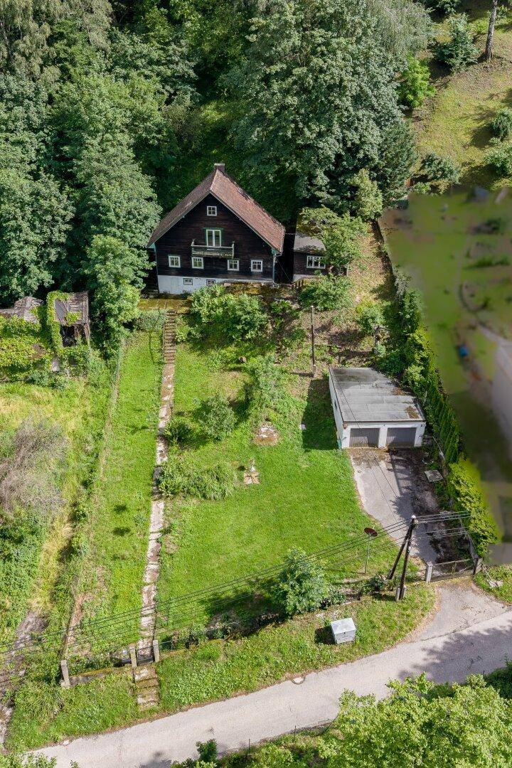 Luftaufnahme des Anwesens mit einem dunklen Holzhaus, umgeben von Bäumen und einem großen Garten.