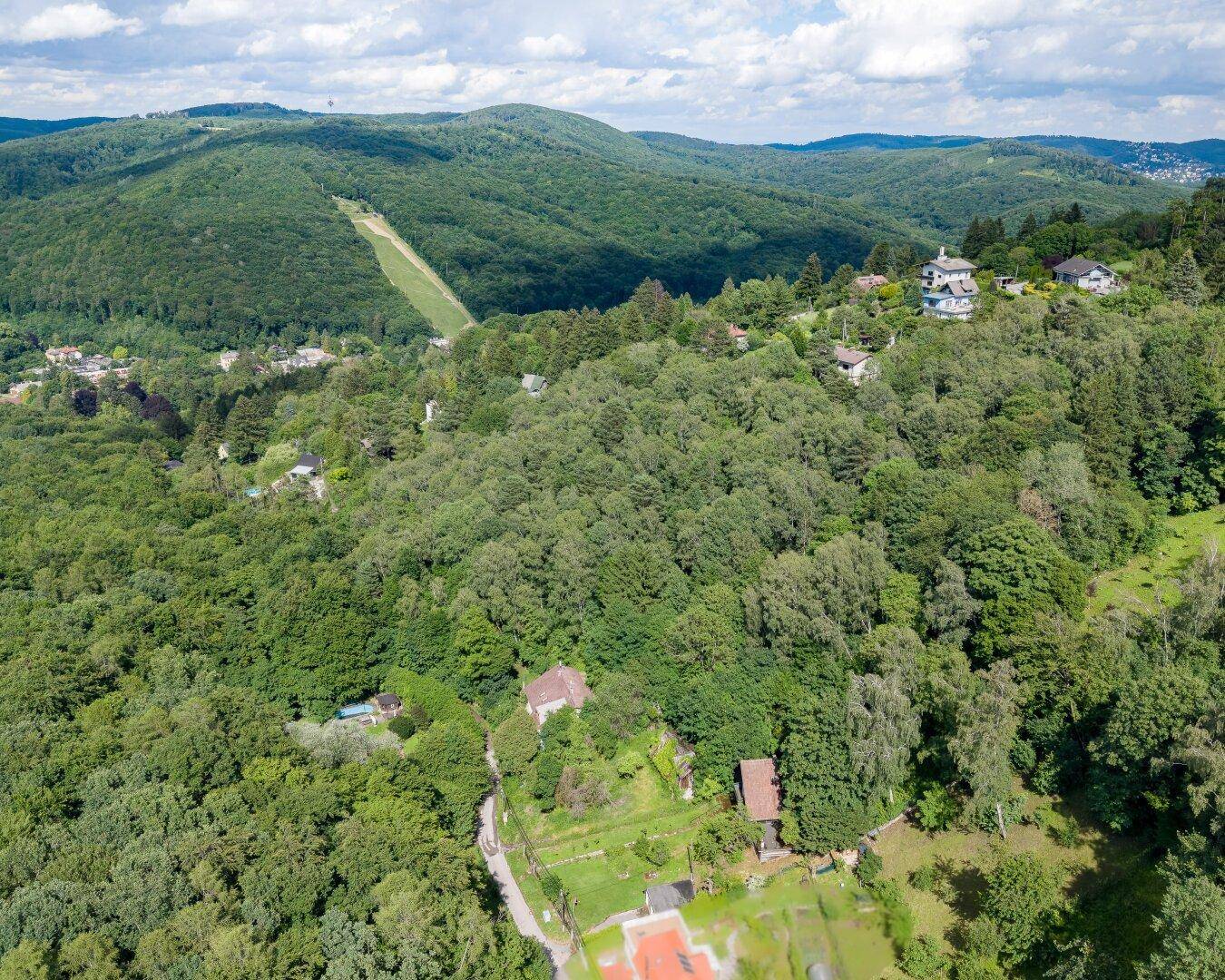 Weitläufige Luftaufnahme einer bewaldeten Hügellandschaft mit vereinzelten Häusern und einem Skihang.