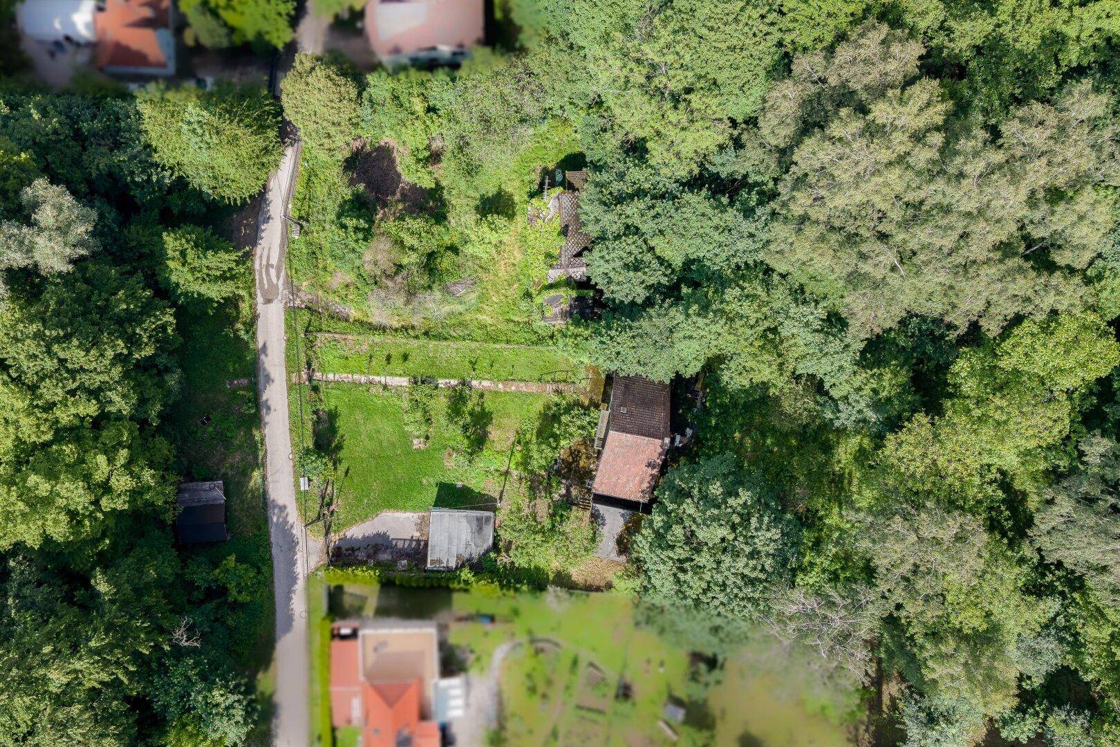 Vogelperspektive des Grundstücks mit dem Haus, Garten und der umliegenden dichten Vegetation.
