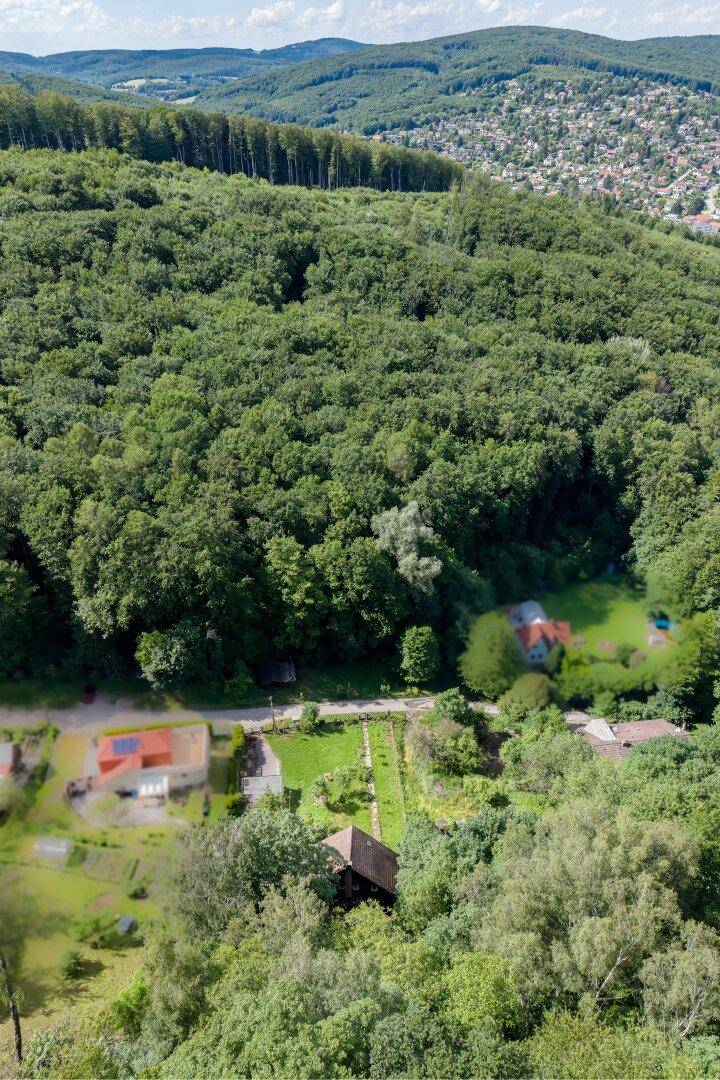 Panoramablick aus der Luft auf die grüne Hügellandschaft mit dem Anwesen und weiteren Häusern.