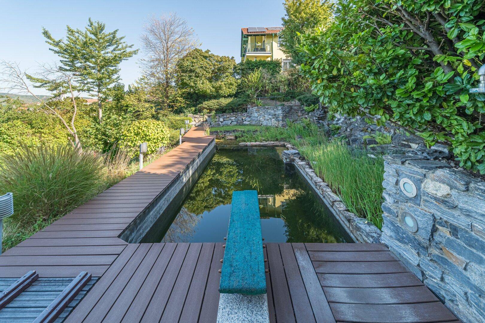 Detailansicht des natürlichen Wasserbeckens mit Holzdeck, kleiner Sprungplattform und Steinmauer im Garten.