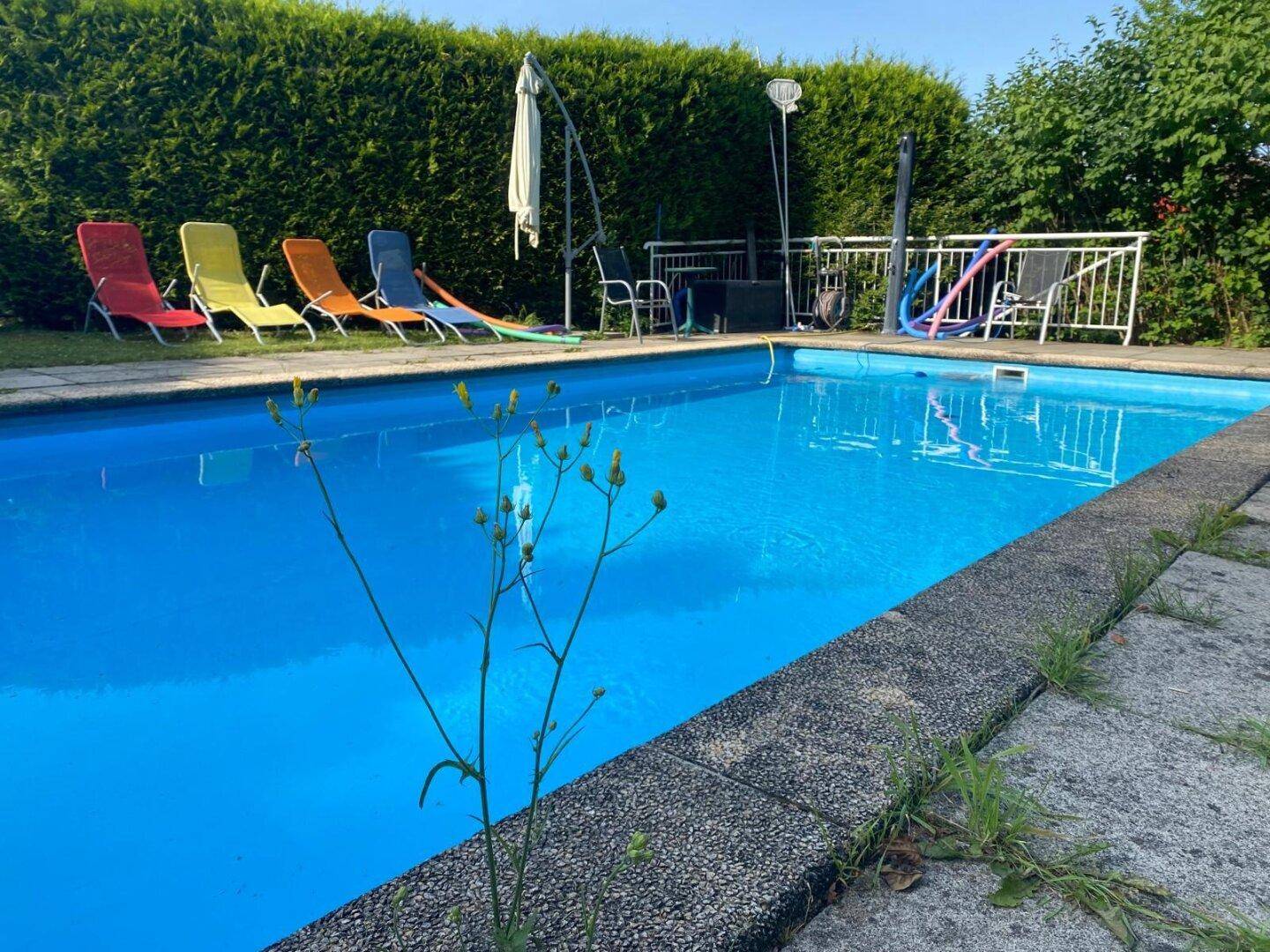 Außenbereich mit großem, blauem Swimmingpool, umgeben von bunten Liegestühlen und einer grünen Hecke unter blauem Himmel.
