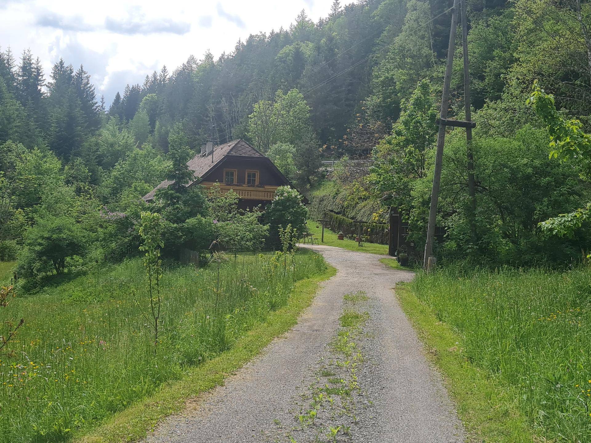 Kiesweg führt zu einem Holzhaus in einer grünen, hügeligen Landschaft, umgeben von dichtem Wald.