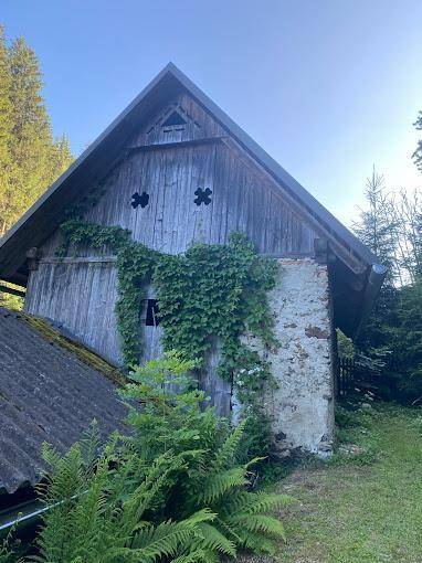 Altes, verwittertes Nebengebäude aus Holz und Stein, teilweise mit Efeu bewachsen, inmitten der Natur.