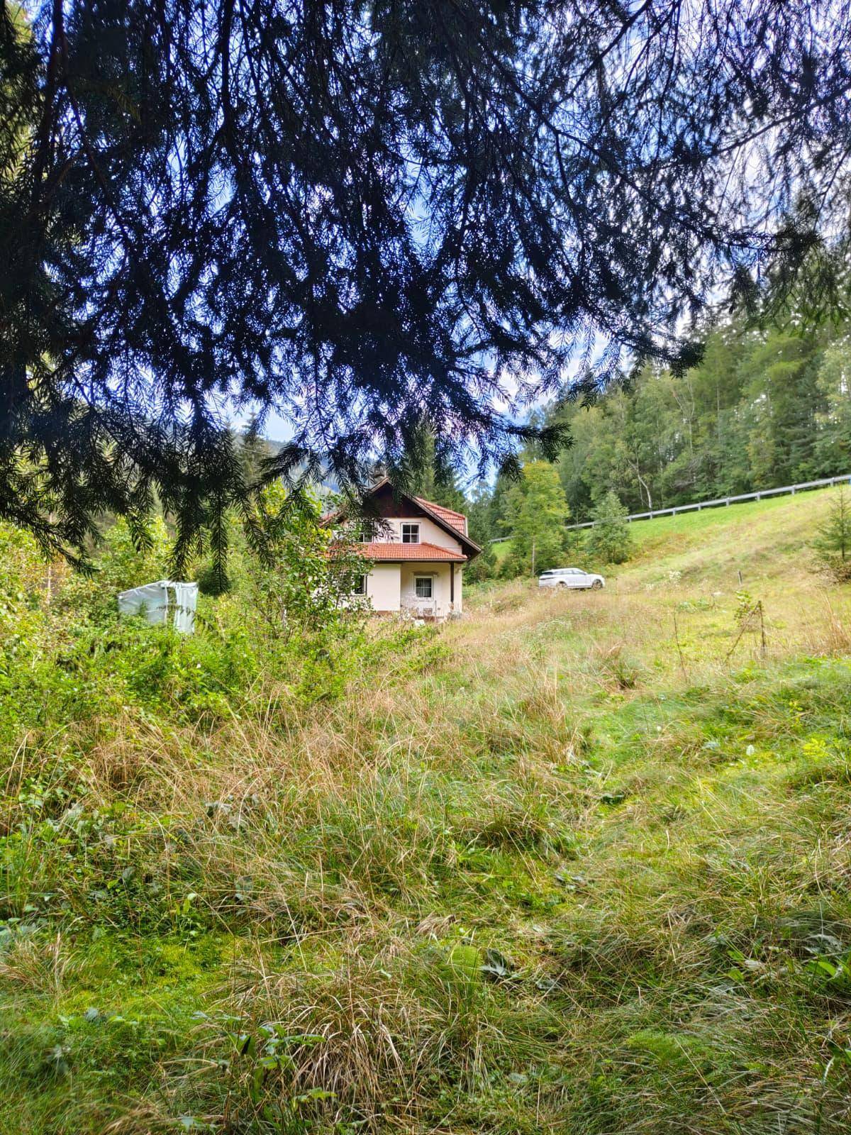 Fernansicht des Hauses auf einem grasbewachsenen Hügel, umgeben von üppiger Vegetation und Bäumen.