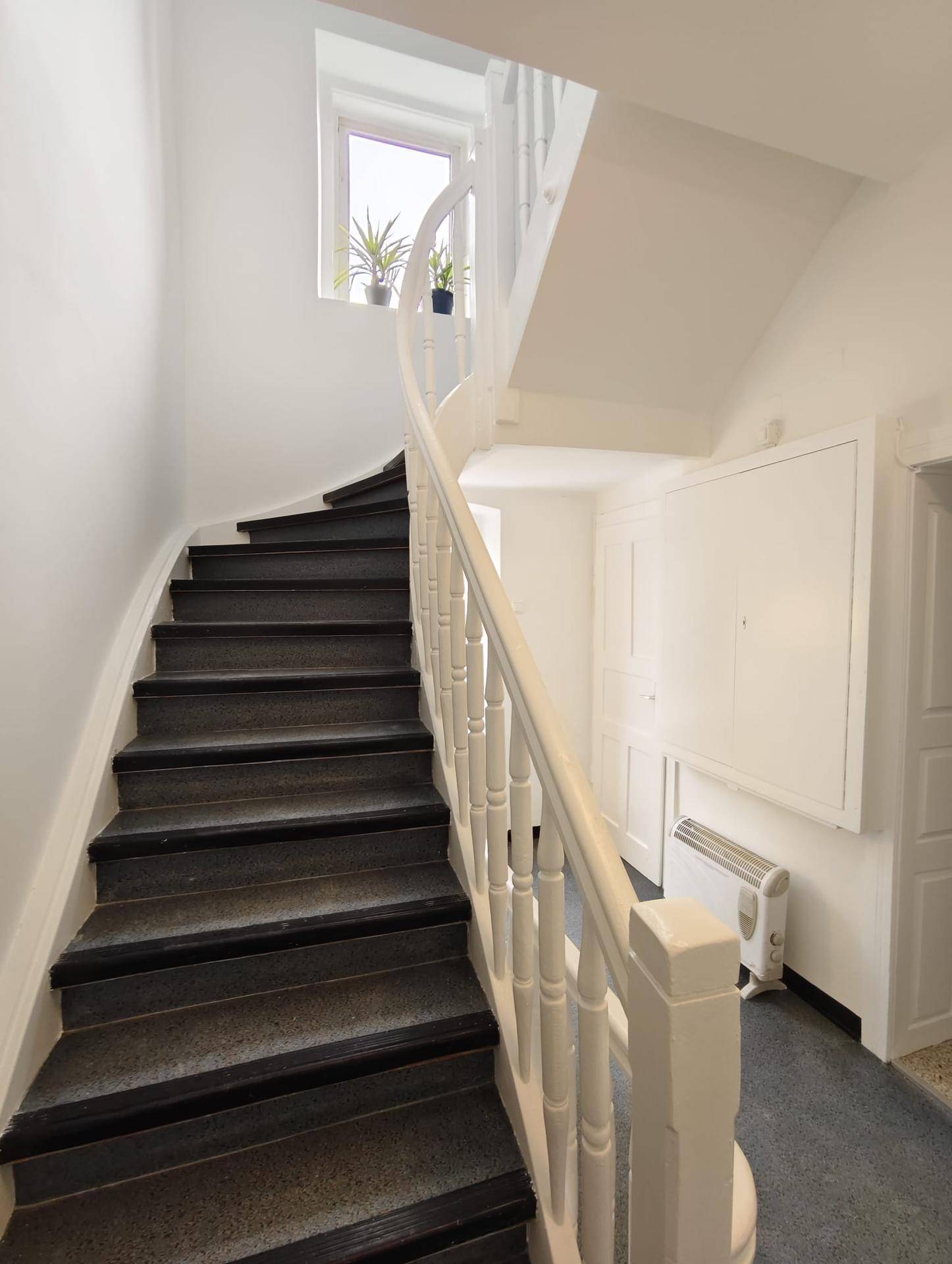 Geschwungene Treppe mit weißem Geländer und dunklen Stufen in einem hellen Treppenhaus.