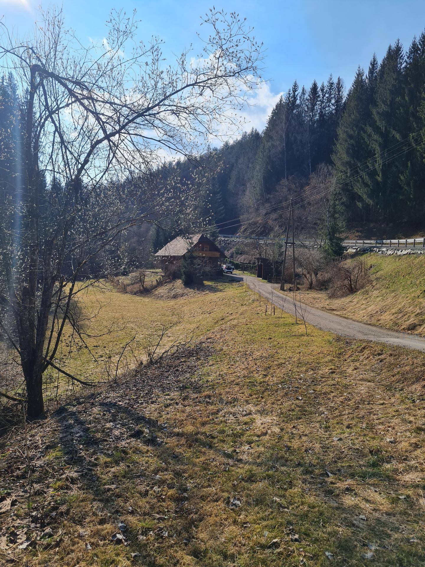 Kiesweg schlängelt sich durch hügelige Graslandschaft zu einem traditionellen Holzhaus, umgeben von Wald.