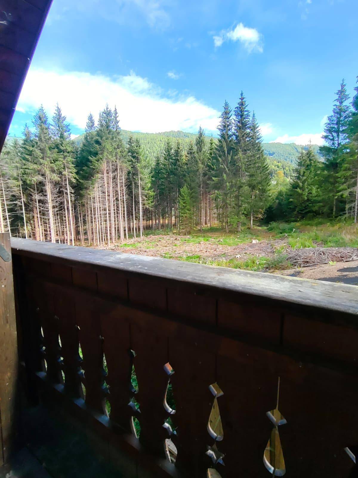 Blick vom Balkon auf einen weiten Wald und die umliegenden Berge unter blauem Himmel.