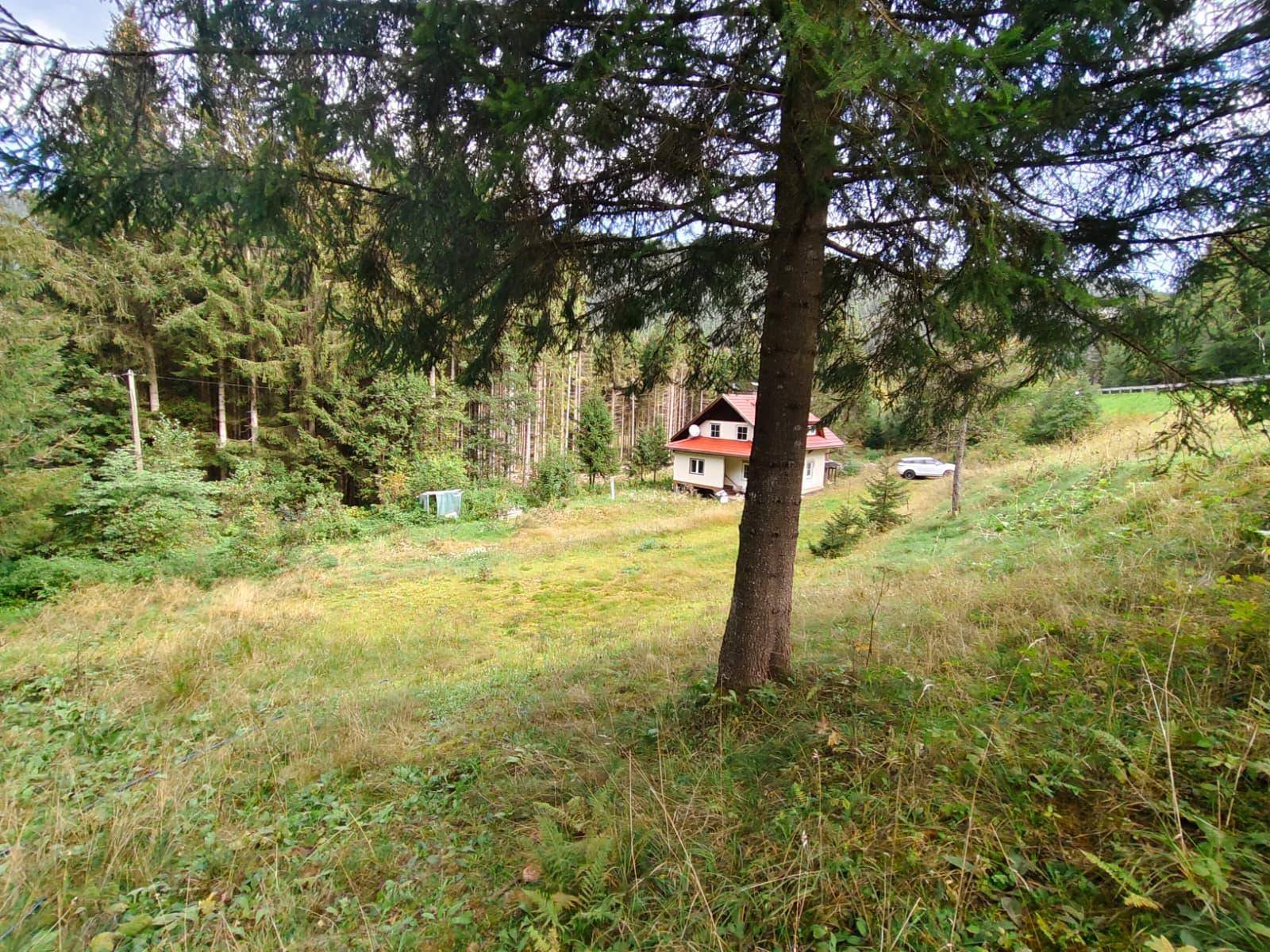 Blick auf das Haus, teilweise von einem großen Baum verdeckt, mit einer weiten Grasfläche im Vordergrund.