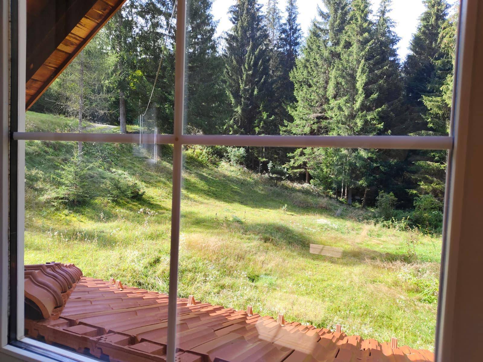 Blick aus einem Fenster auf einen grünen Hügel, hohe Bäume und ein Ziegeldach im Vordergrund.