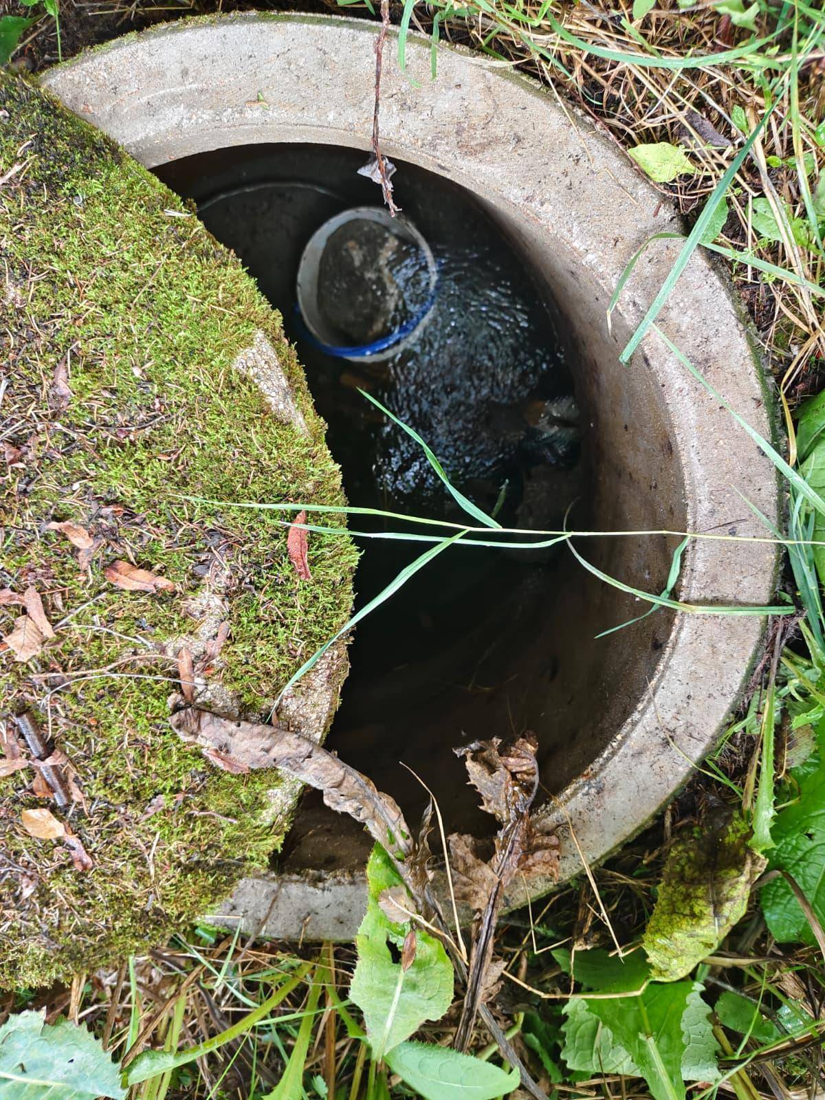 Betonbrunnen oder Schachtabdeckung, teilweise mit Moos bewachsen, mit sichtbarem Wasser im Inneren.