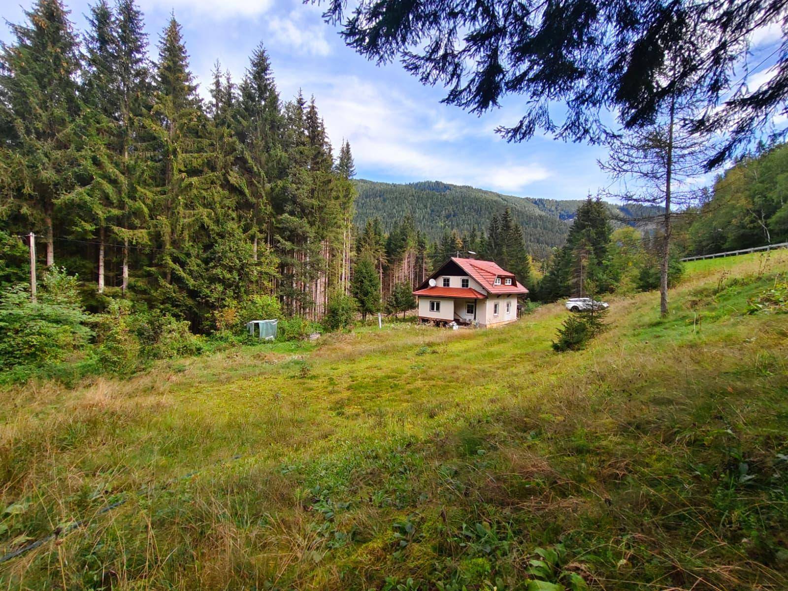 Eine weitere Weitwinkelaufnahme des Hauses, die die natürliche, abgelegene Lage im dichten Wald hervorhebt.
