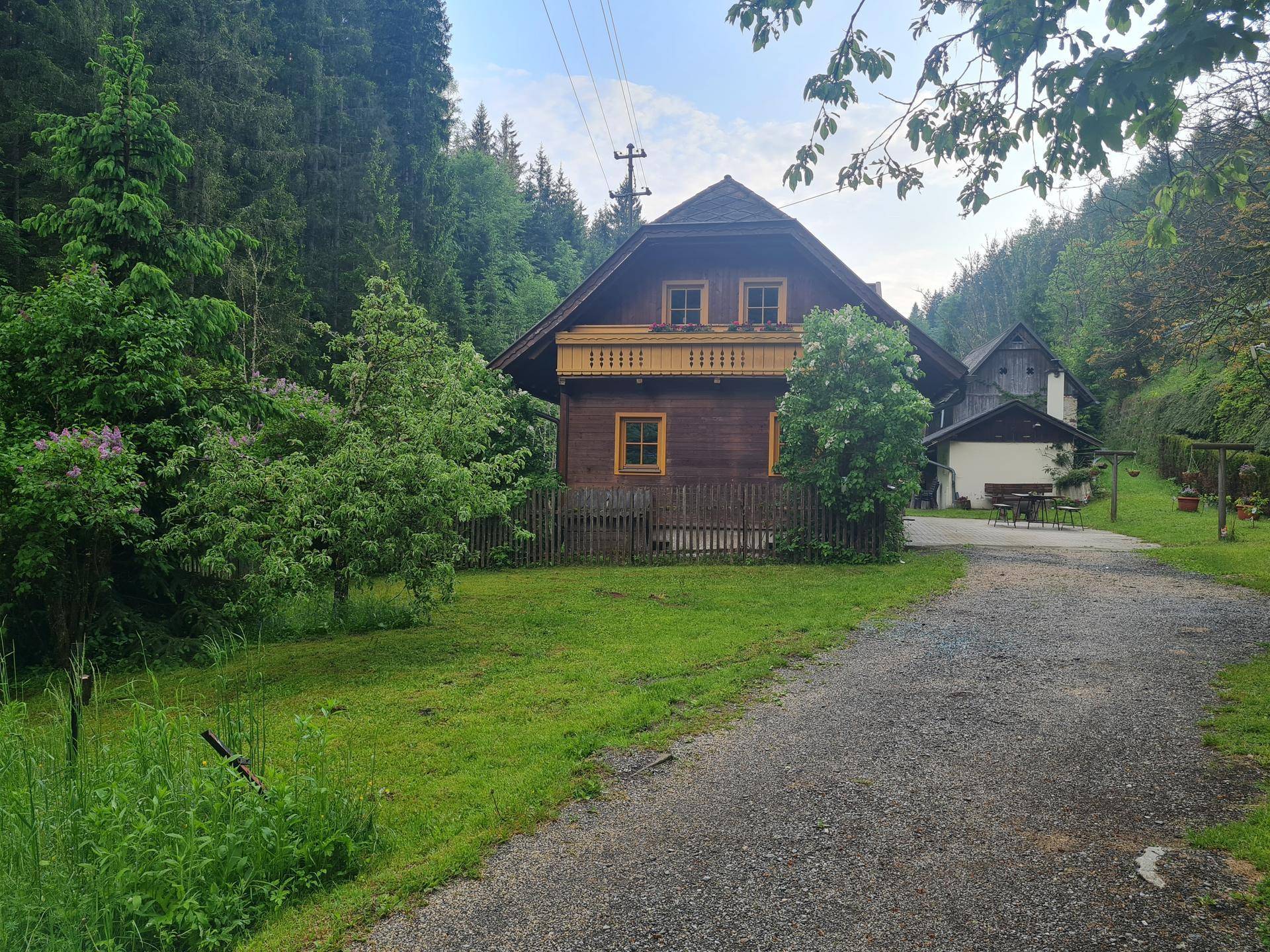 Kiesauffahrt führt zu einem charmanten Holzhaus mit Balkon, eingebettet in grüne Natur und hohe Bäume.