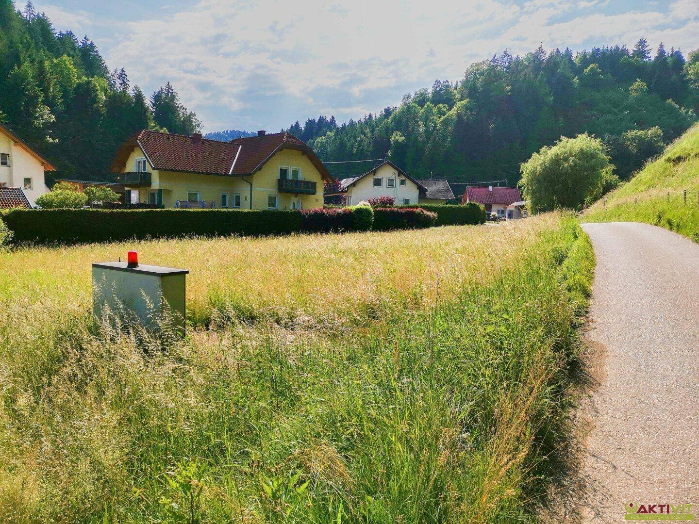 Weitläufige grüne Wiese mit einem Weg und mehreren Häusern am Waldrand in sonniger Umgebung.