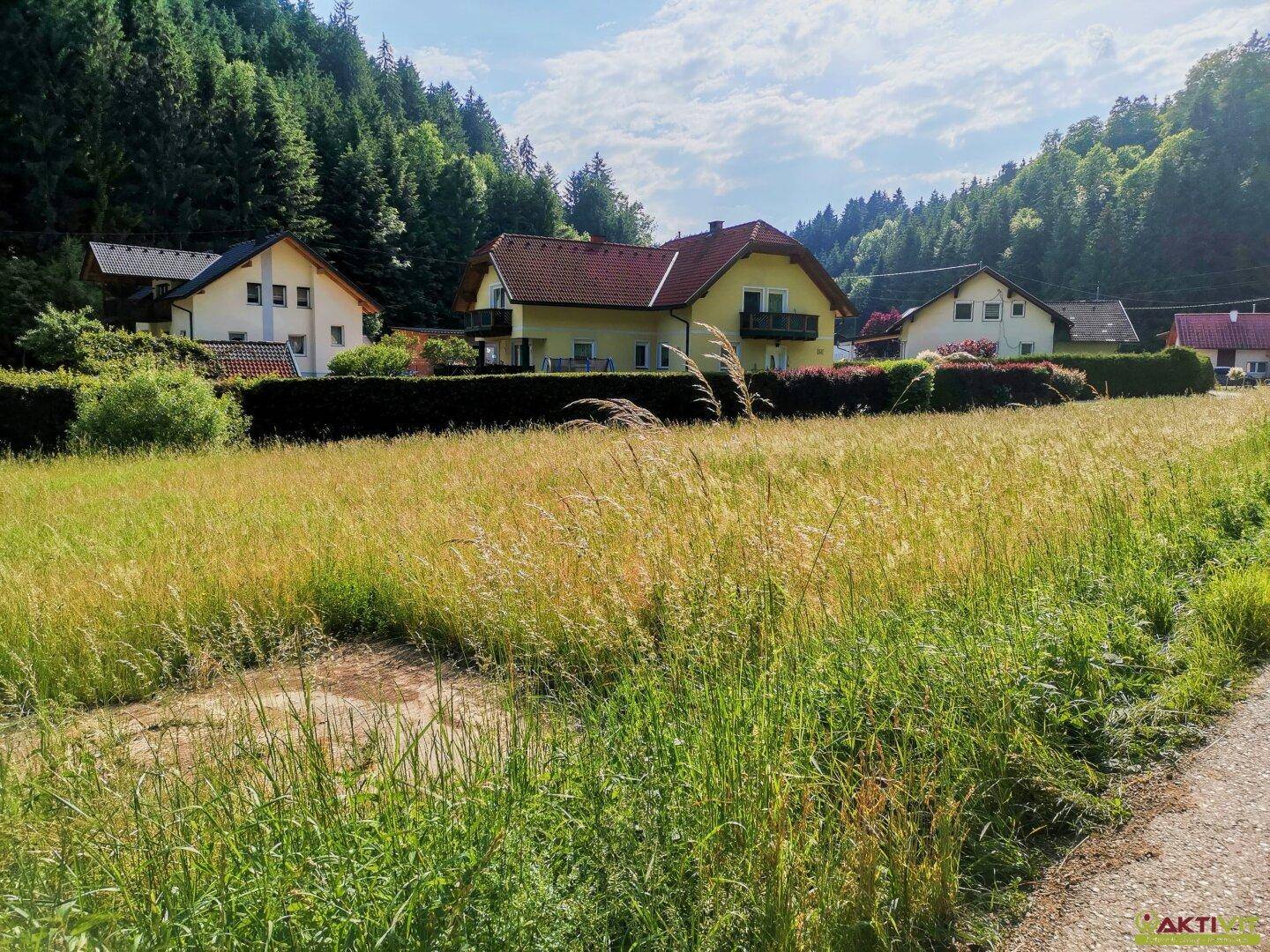 Sonnige grüne Wiese mit Wohnhäusern und bewaldeten Hügeln im Hintergrund, die eine ländliche Szene zeigen.