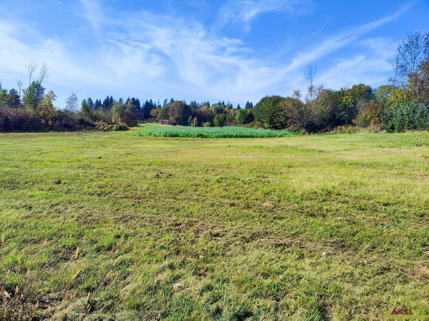 Große grüne Wiese mit Waldrand im Hintergrund und weitem Blick in die Natur.