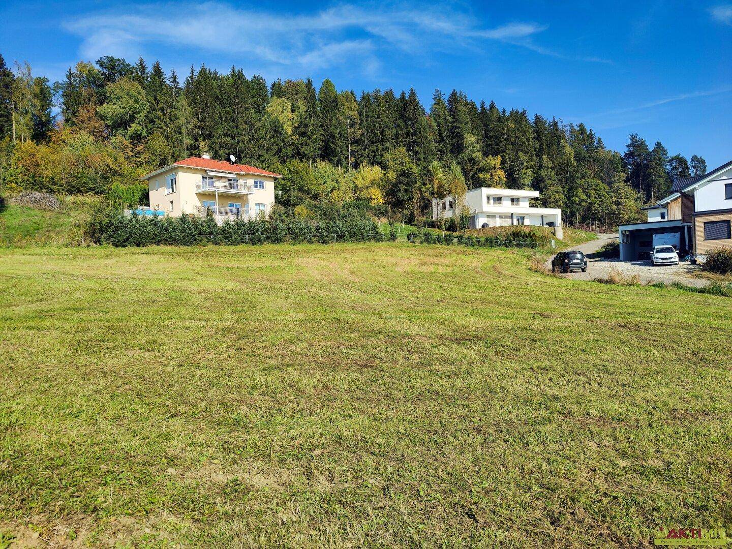 Weitläufige Wiese mit mehreren Häusern und dichtem Wald im Hintergrund unter blauem Himmel.