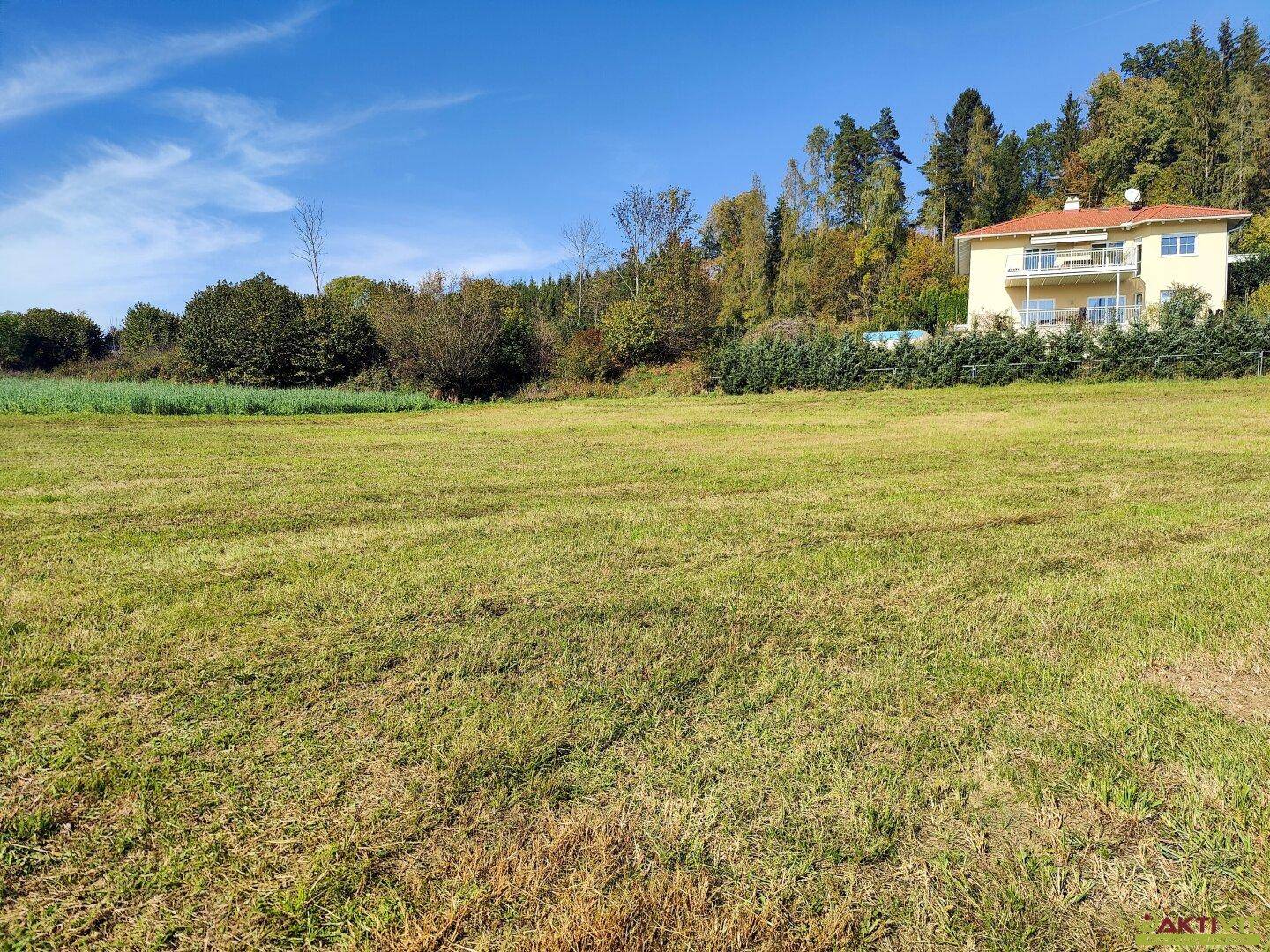 Sonnige Wiese mit einem Wohnhaus, umgeben von Hecken und Bäumen, im ländlichen Gebiet.
