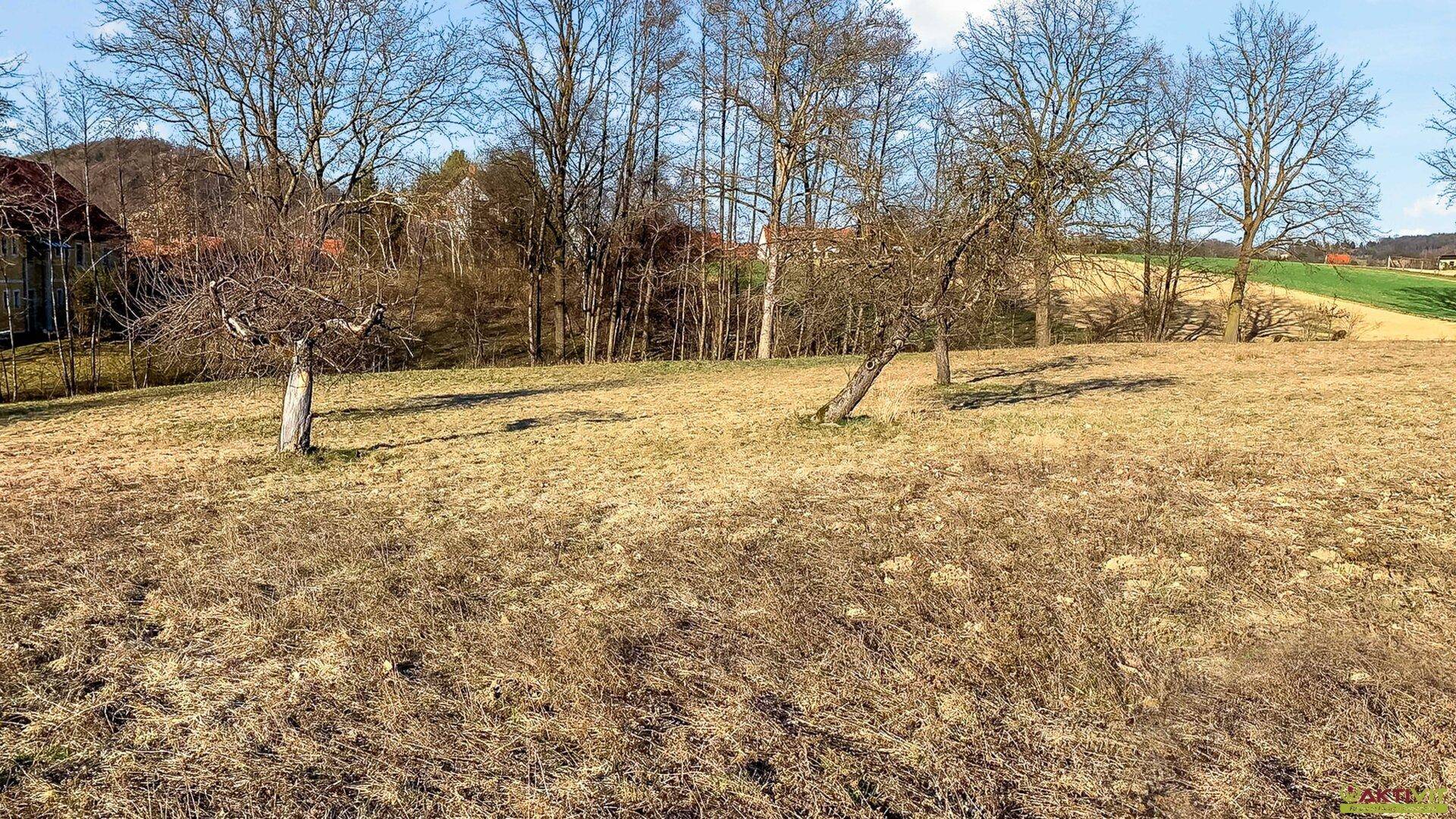 Weitläufiges Feld mit vereinzelten Bäumen und Blick auf die hügelige Landschaft.