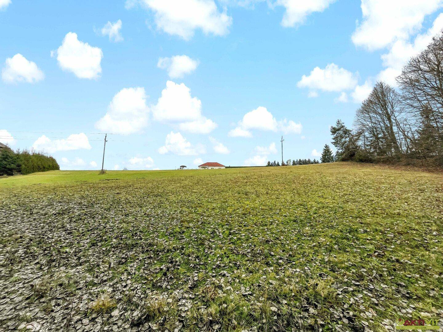 Weites Feld mit herabgefallenen Blättern und einem Haus in der Ferne unter blauem Himmel.