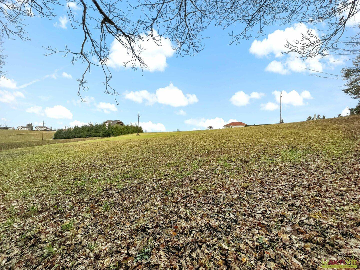 Weitläufiges Feld mit herabgefallenen Blättern und Häusern am Horizont unter blauem Himmel.
