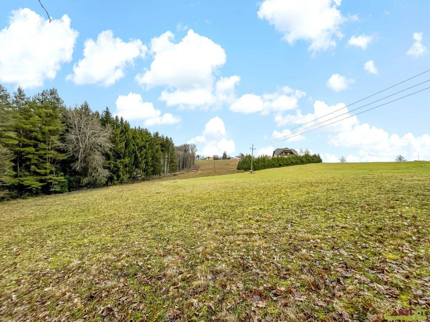 Grüne Wiese mit Waldrand und einem Gebäude in der Ferne unter einem weiten Himmel.