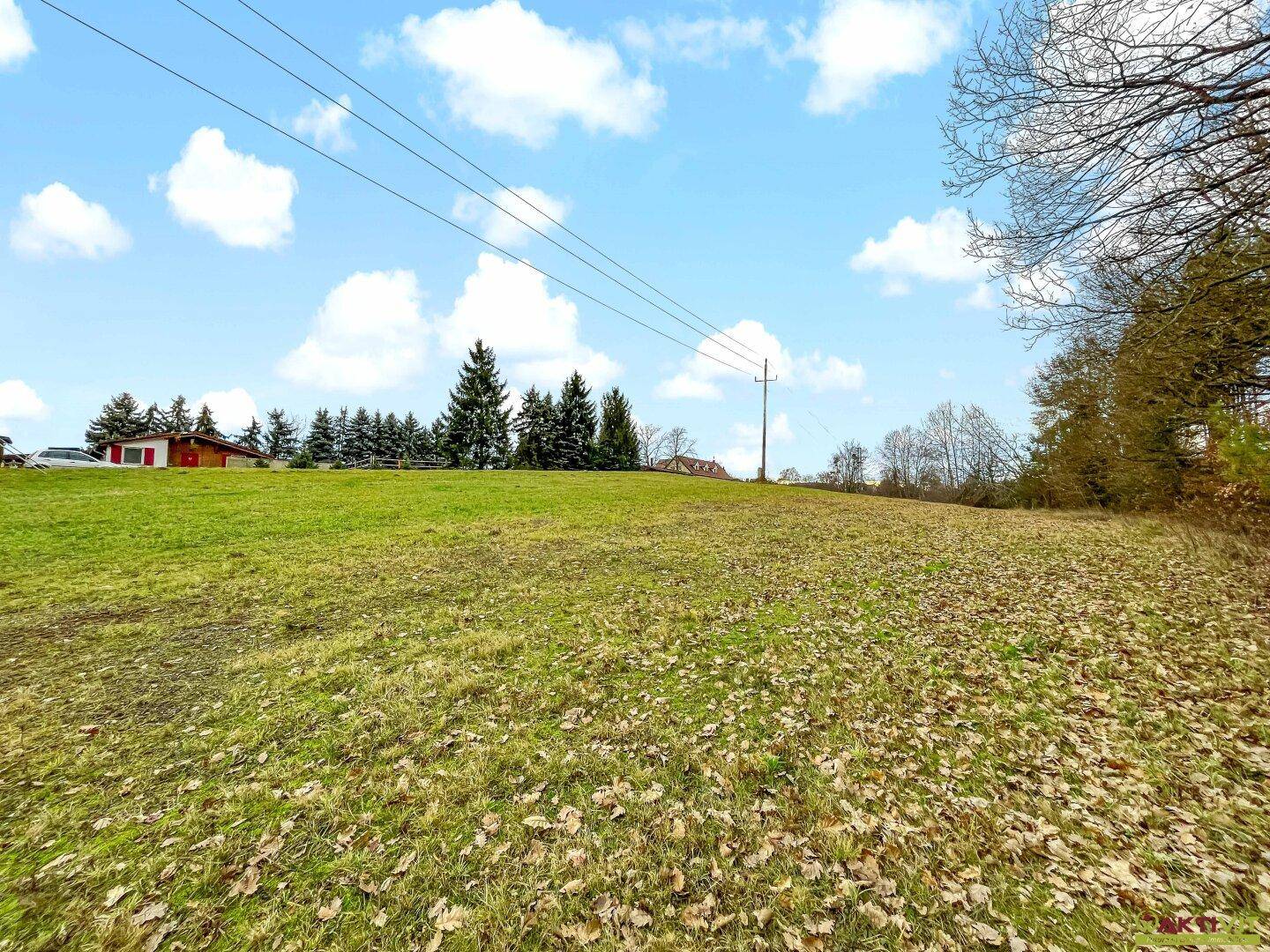 Weites Feld mit herabgefallenen Blättern, Stromleitungen und Häusern in der Ferne.