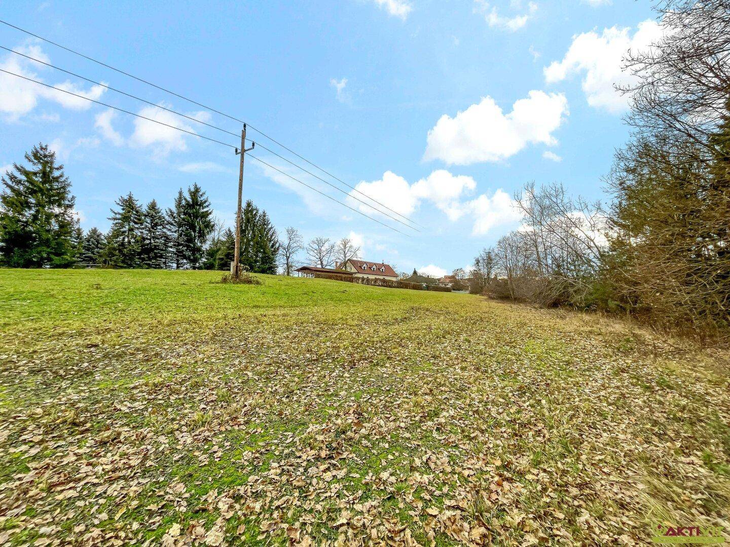 Grüne Wiese mit herbstlichem Laub, Strommasten und einem Haus in der Ferne am Waldrand.