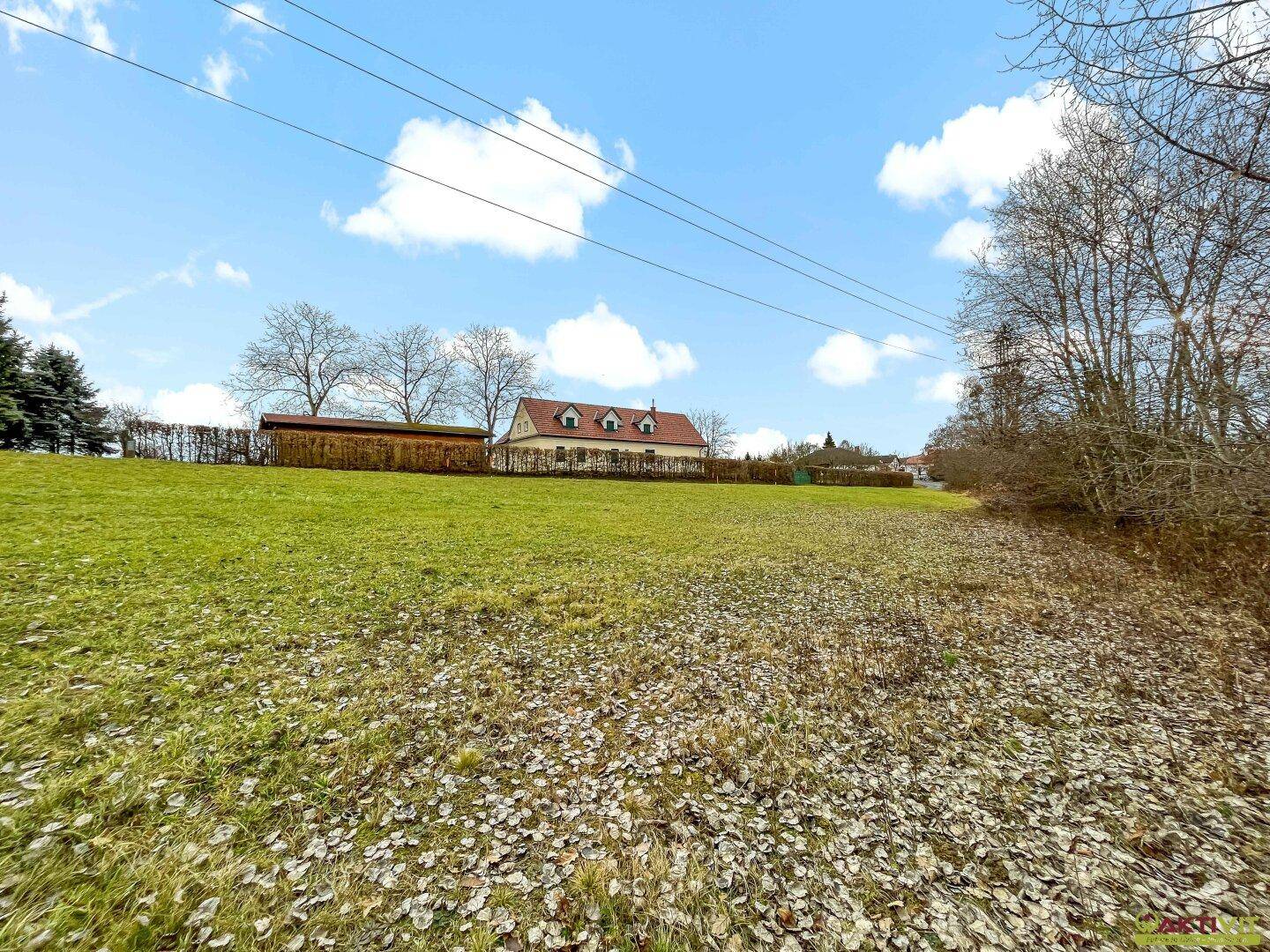 Weitläufiges Feld mit herabgefallenen Blättern und einem Haus mit Hecke im Hintergrund.