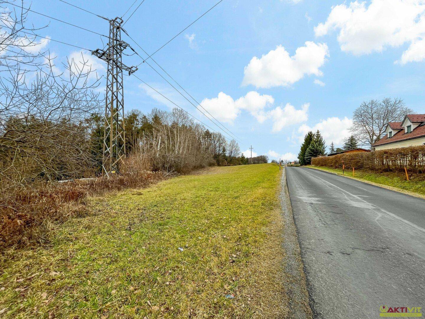 Grüne Wiese neben einer Straße mit einem großen Strommast und Wald im Hintergrund.