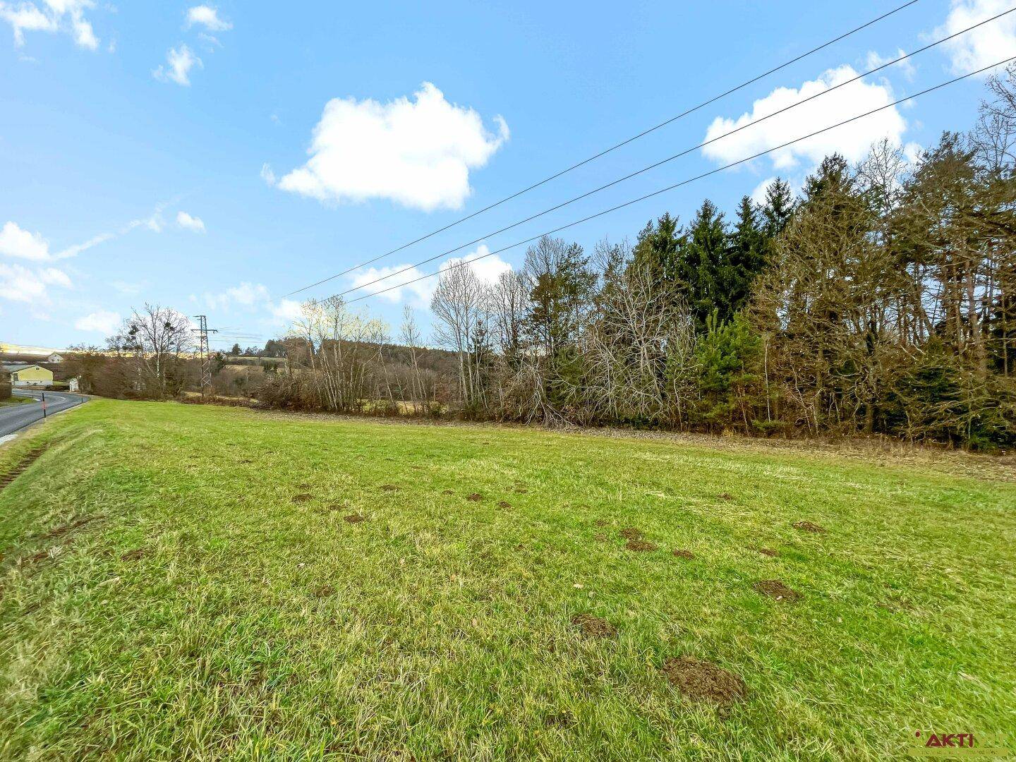 Weitläufiges grünes Feld mit Waldrand und einer Straße in der Ferne unter blauem Himmel.