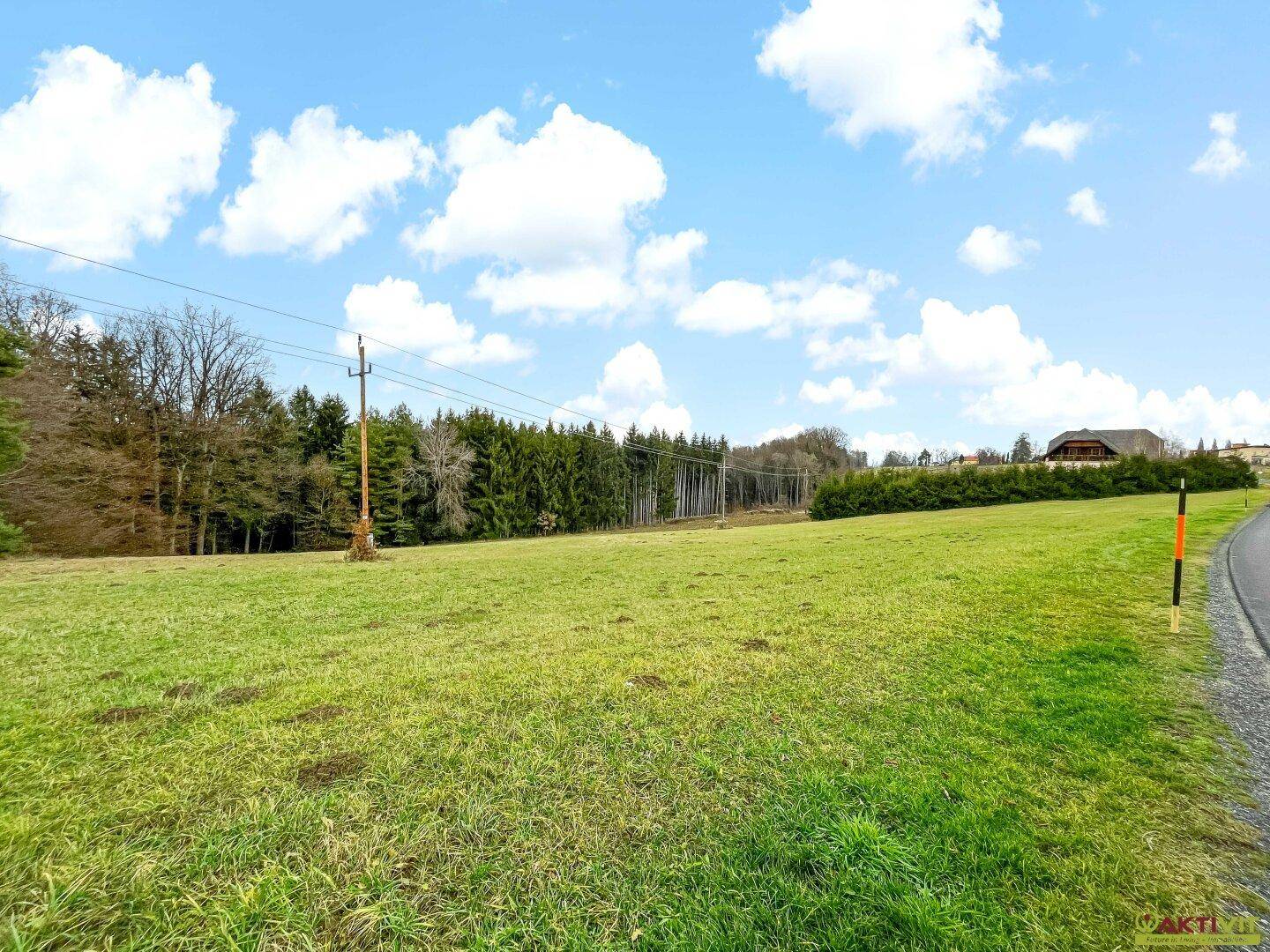 Grüne Wiese neben einer Straße mit einem Waldrand und einem Haus in der Ferne.