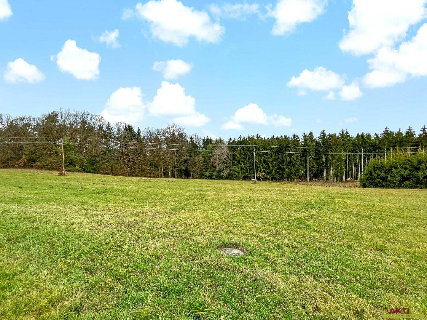 Weitläufiges grünes Feld mit Waldrand und einem Strommast unter blauem Himmel.