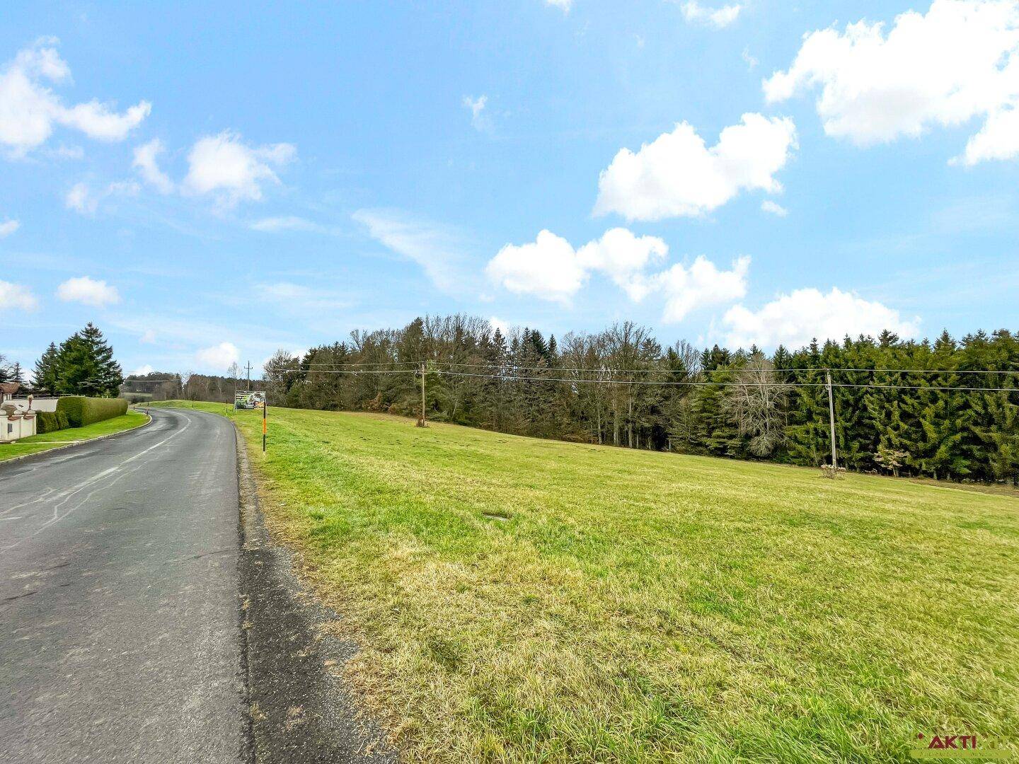 Grüne Wiese neben einer Straße mit Waldrand und Häusern in der Ferne unter blauem Himmel.