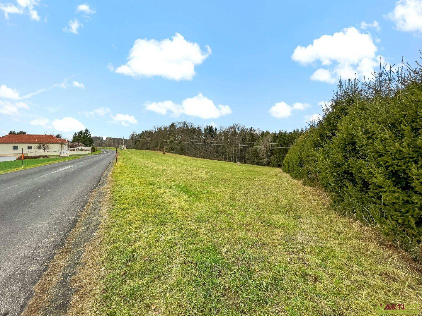 Grüne Wiese neben einer Straße mit einer hohen Hecke und einem Haus in der Ferne.
