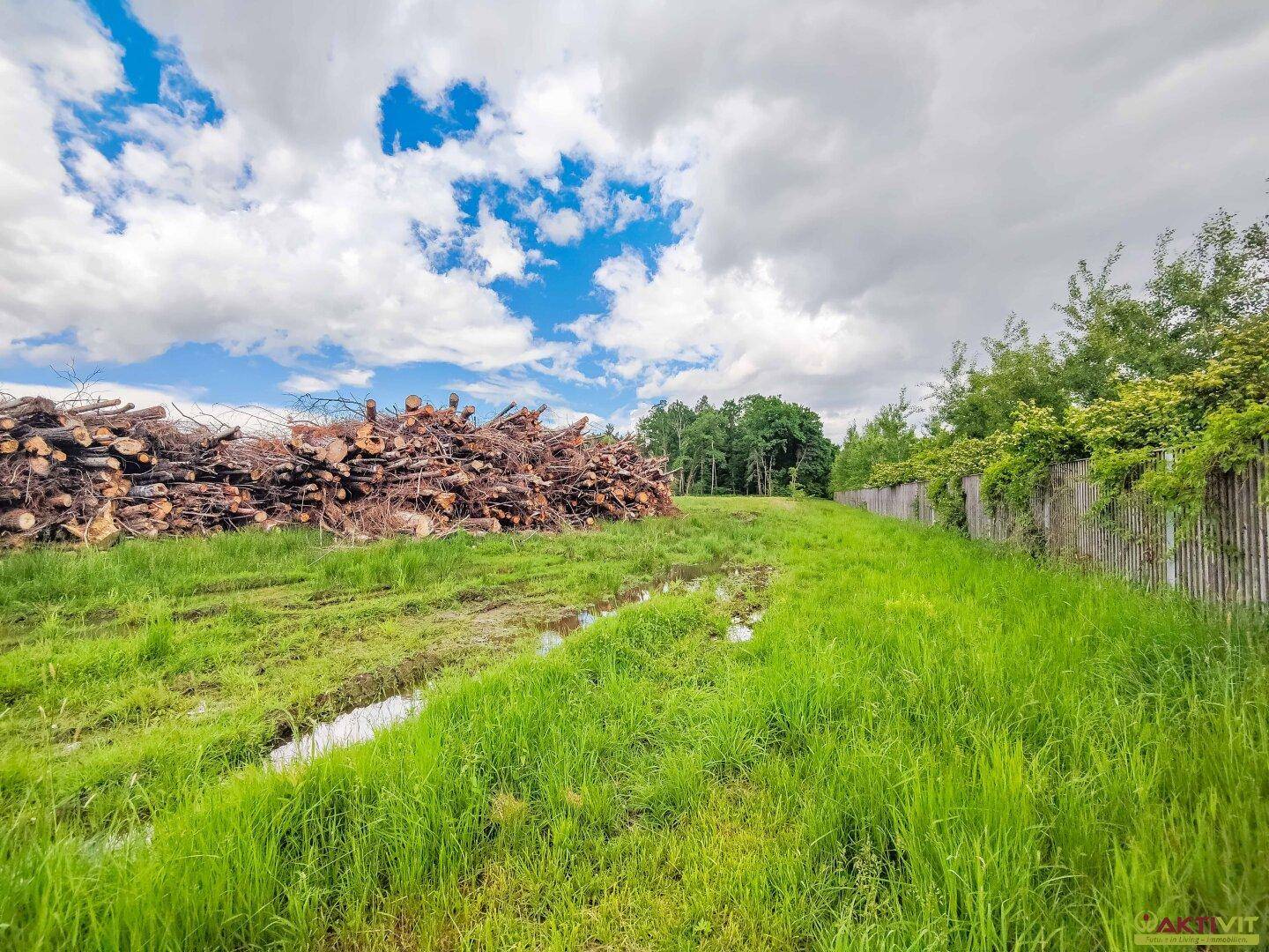 Großer Holzstapel neben einem grasbewachsenen Weg mit Pfützen und einem Zaun mit Büschen.