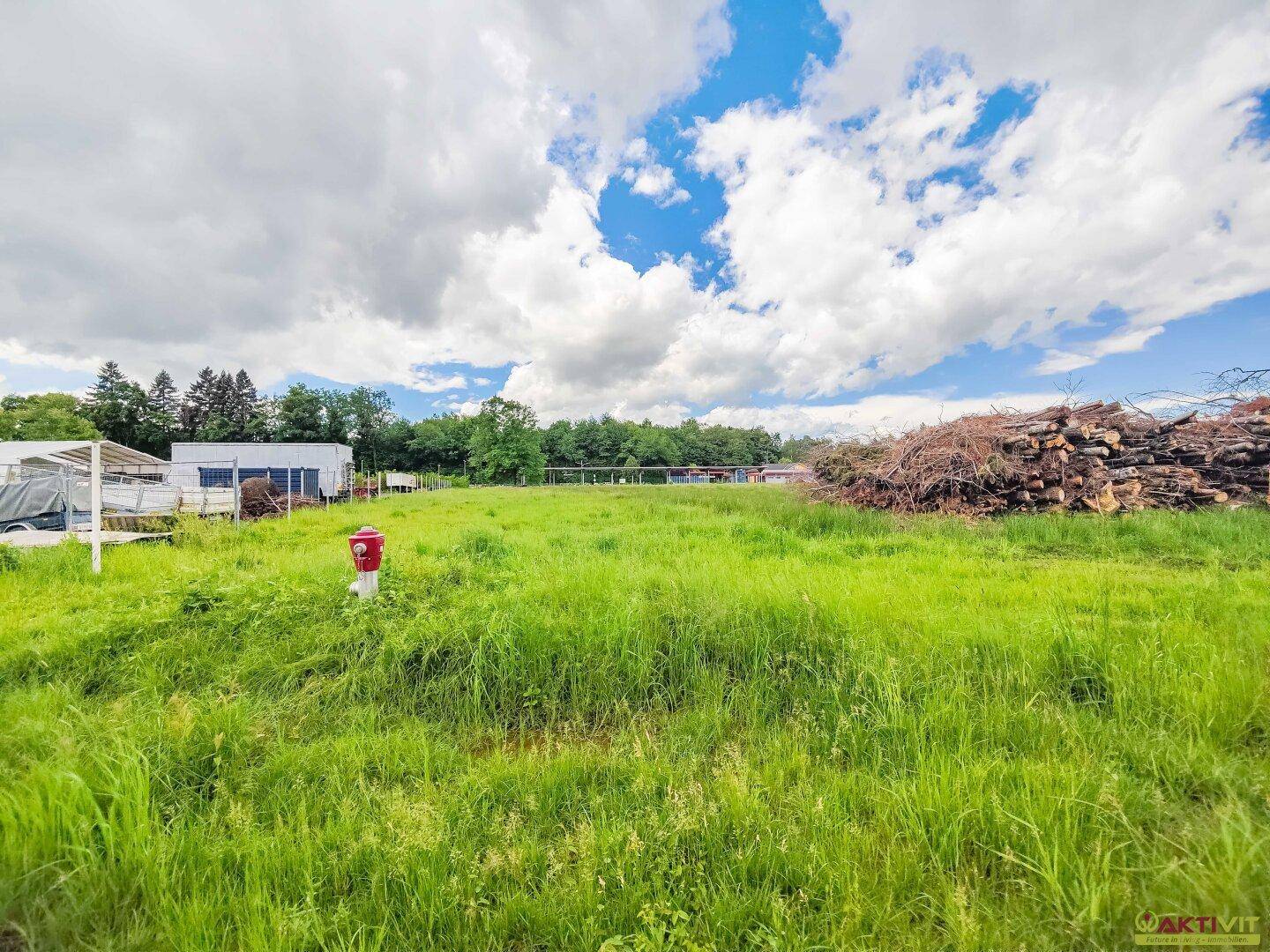 Grünes Feld mit einem roten Hydranten im Vordergrund, umgeben von Bäumen und einem Holzstapel.