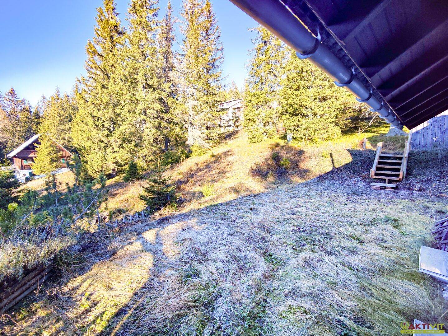 Naturbelassenes Hanggrundstück mit Nadelbäumen und einfacher Holztreppe in sonniger Lage.