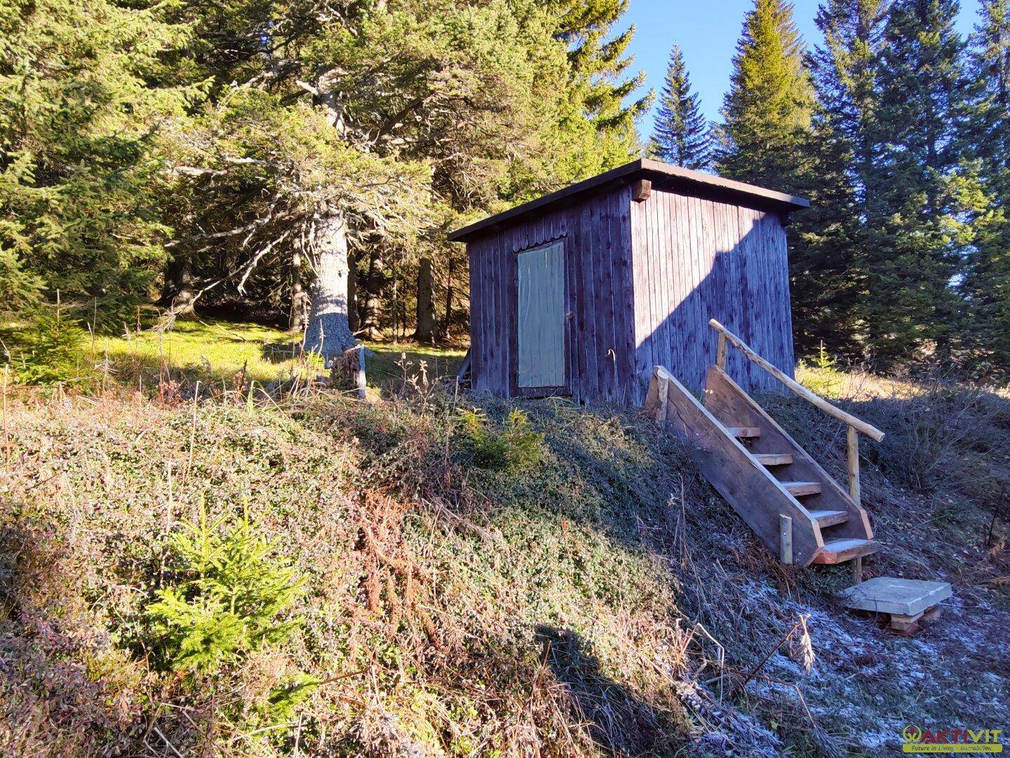 Rustikaler Holzschuppen mit kleiner Treppe, umgeben von Bäumen und natürlicher Vegetation.