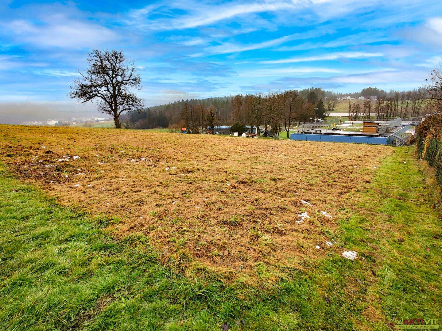 Offenes Grundstück mit einem markanten Baum und weitem Blick auf die umliegende Landschaft.